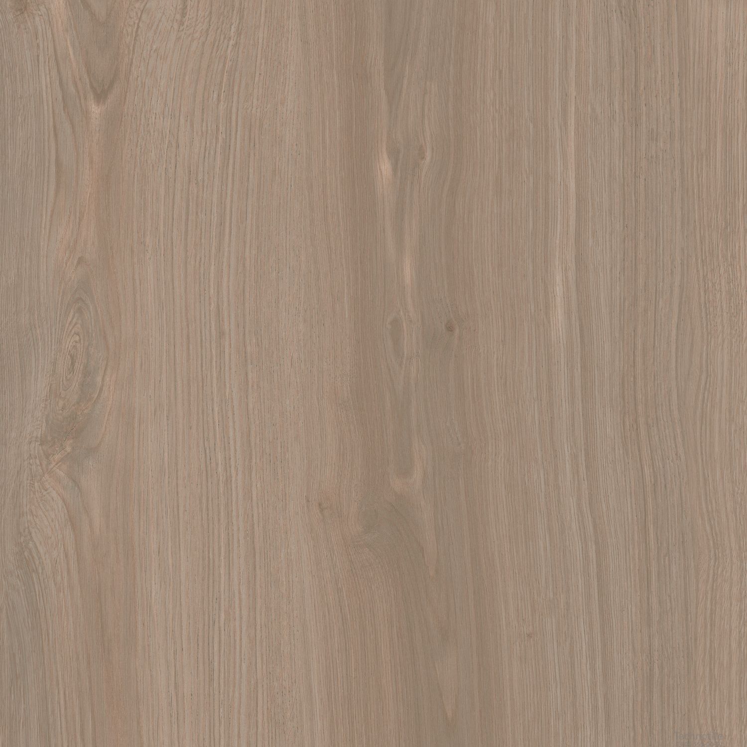 Плитка керамогранит Альберони SG643820R Светло-коричневый матовый