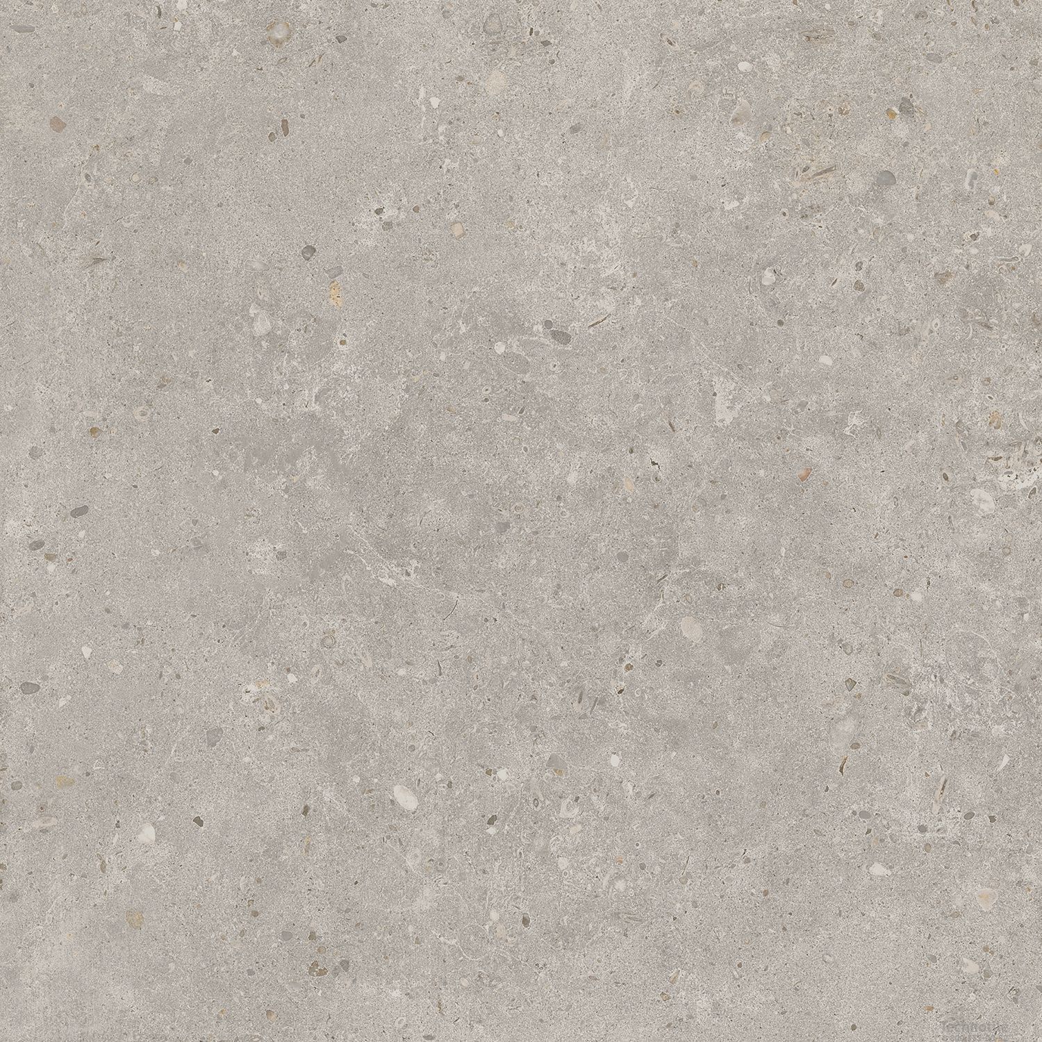 Плитка керамогранит Риккарди SG653720R Светло-серый матовый