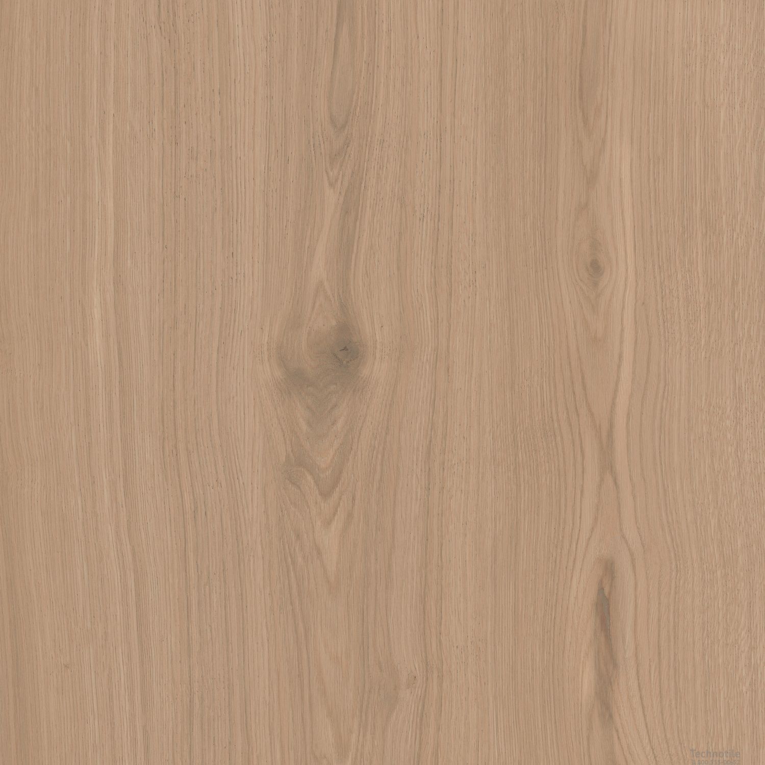 Плитка керамогранит Альберони SG643620R Бежевый матовый