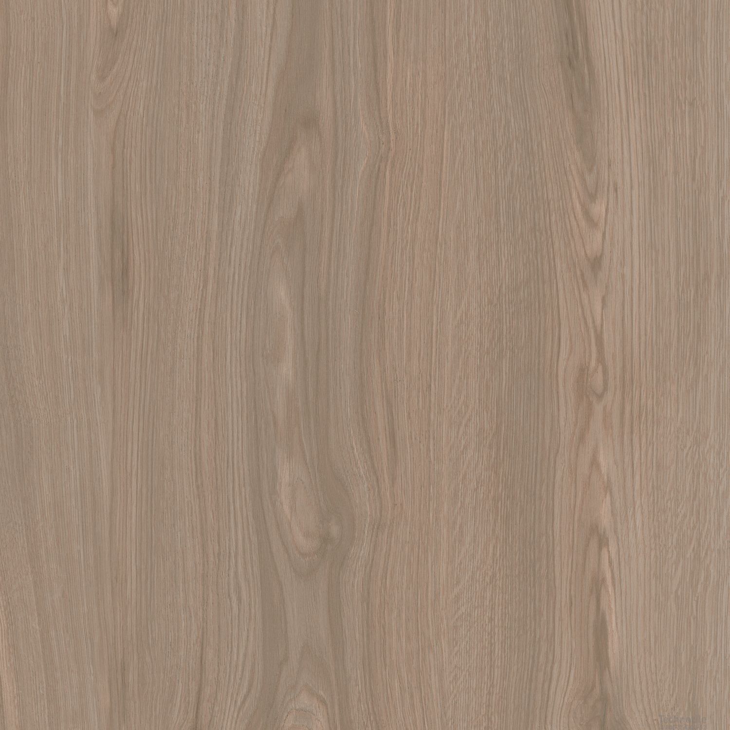 Плитка керамогранит Альберони SG643820R Светло-коричневый матовый