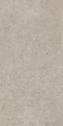 Плитка керамогранит Риккарди SG540620R Бежевый матовый