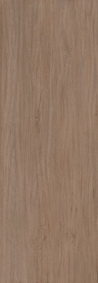 Плитка керамогранит Legno Venezia Rovere матовый (натуральный)
