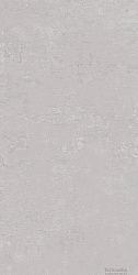 Плитка керамогранит Про Фьюче DD593120R Светло-серый матовый