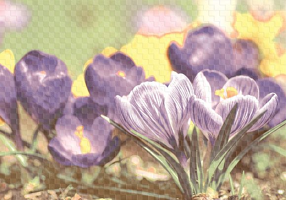 Декор керамический D1 Виола матовый