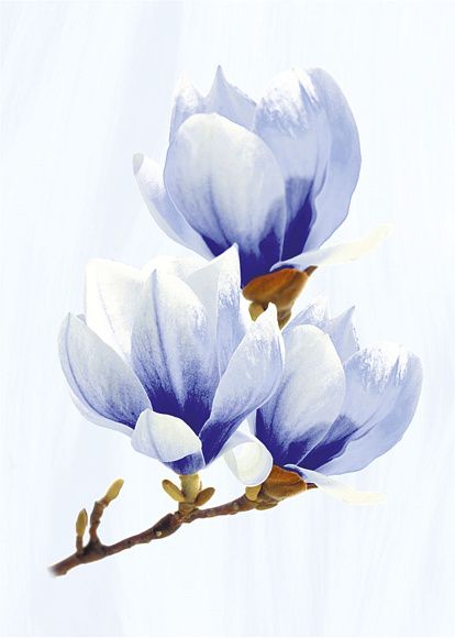 Декор керамический D Агата Голубой матовый