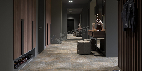 Петра Грессе